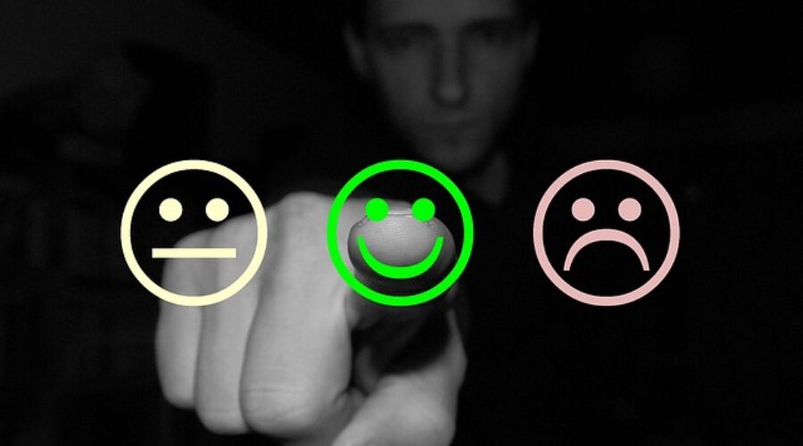 Why Reviews Matter: How to Pick the Perfect Stay